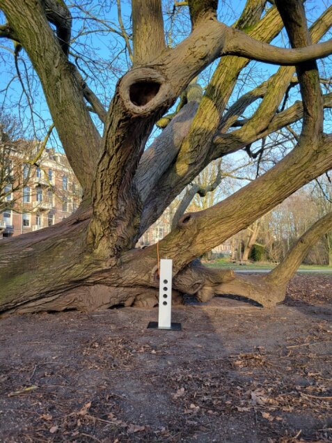 an indoor outlet placed next to a tree in the park
